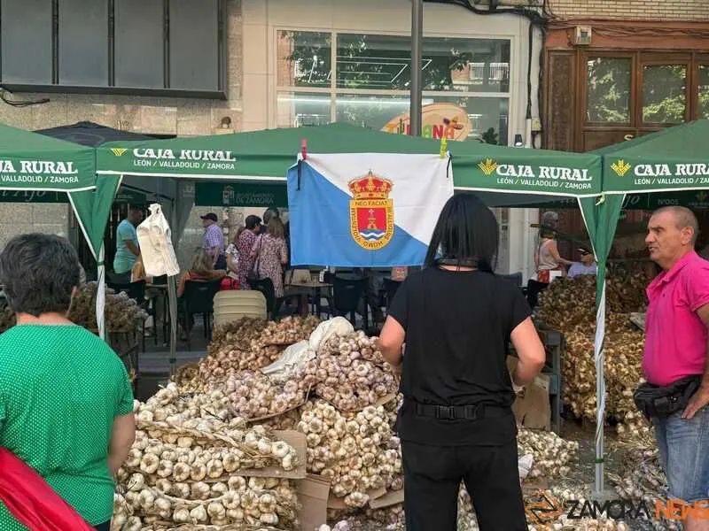 feria del ajo de Zamora 2026_18