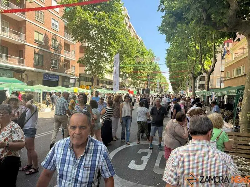 feria del ajo de Zamora 2026_21