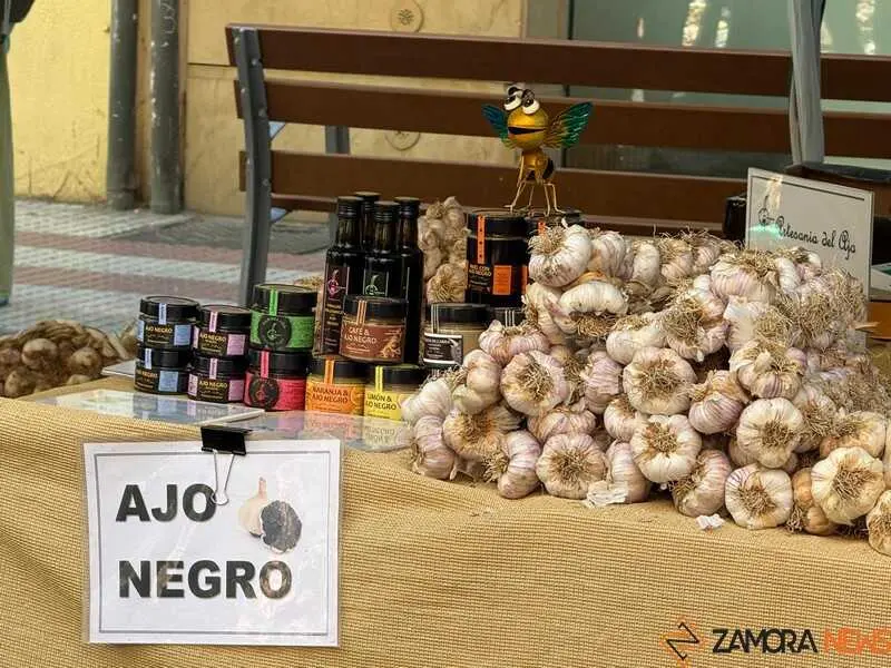 feria del ajo de Zamora 2026_24
