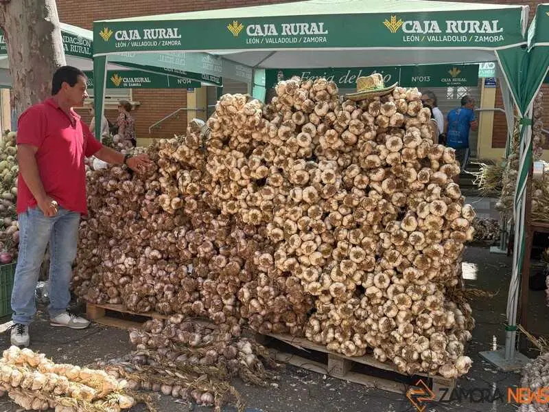 feria del ajo de Zamora 2026_26