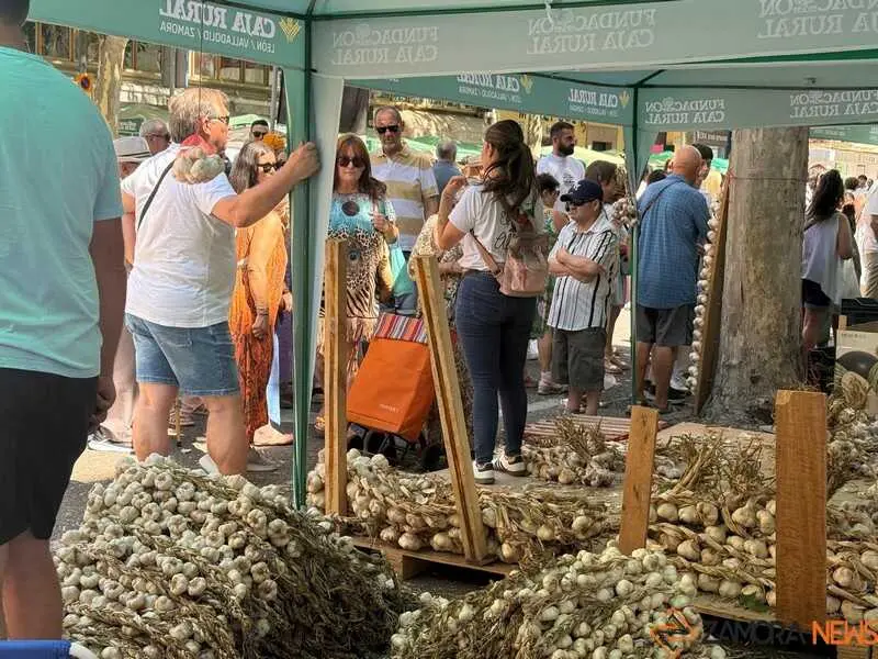 feria del ajo de Zamora 2026_29