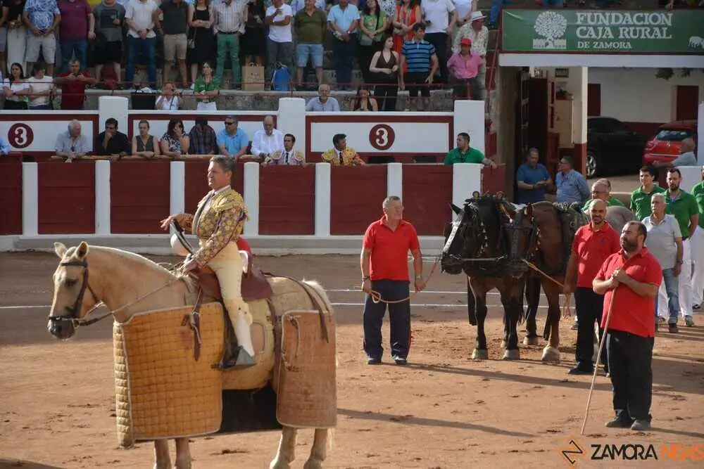 toros san pedro 2026 _7