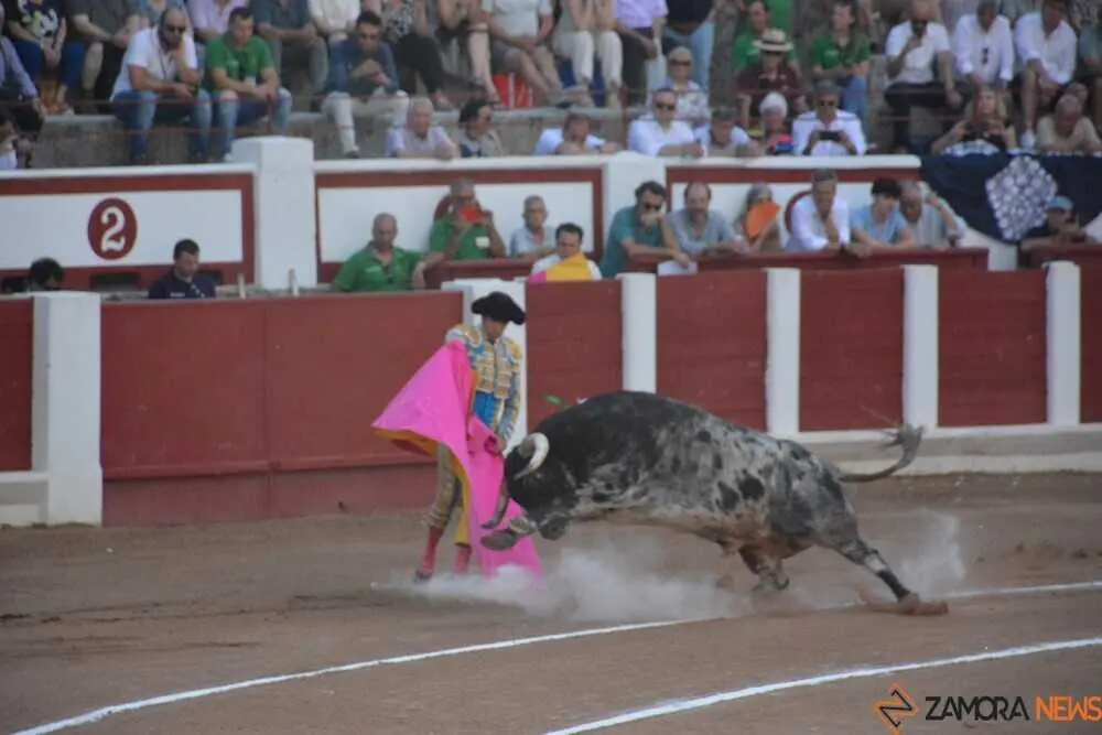 toros san pedro 2026 _16