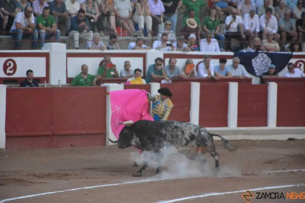 toros san pedro 2026 _18