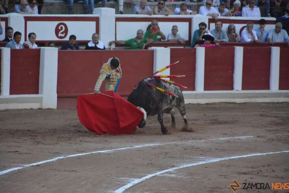 toros san pedro 2026 _29