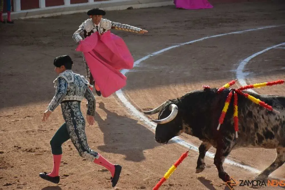 toros san pedro 2026 _26