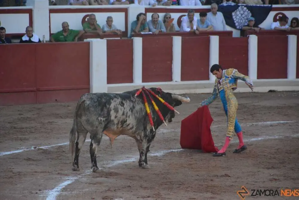toros san pedro 2026 _30