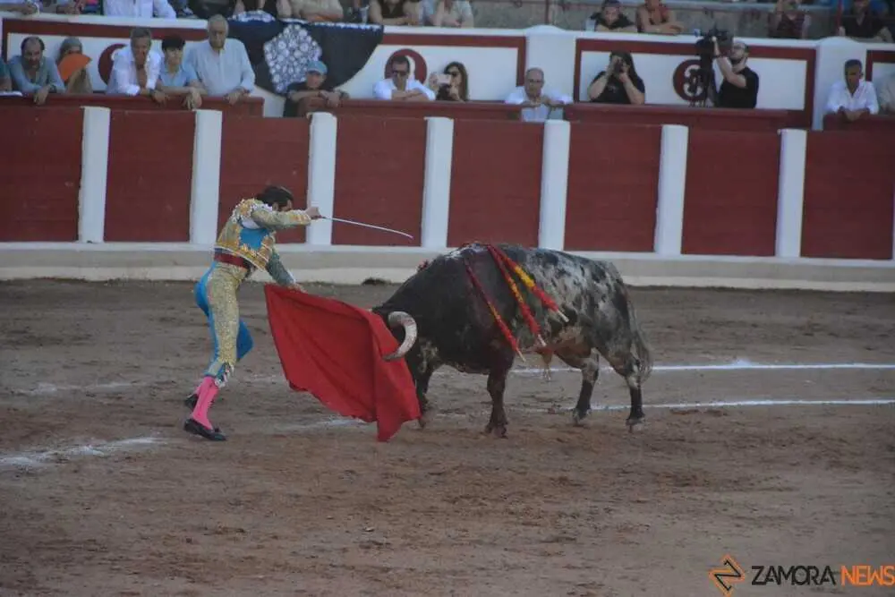 toros san pedro 2026 _33