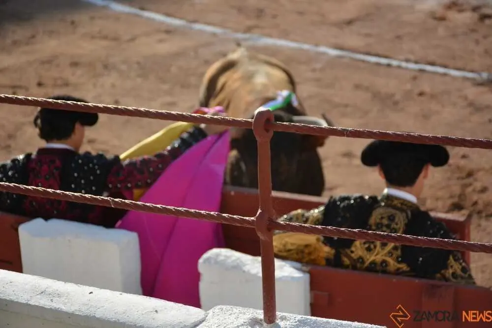 toros san pedro 2026 _50