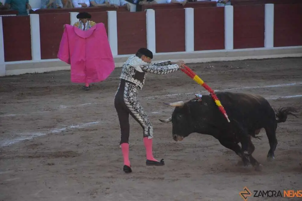 toros san pedro 2026 _54