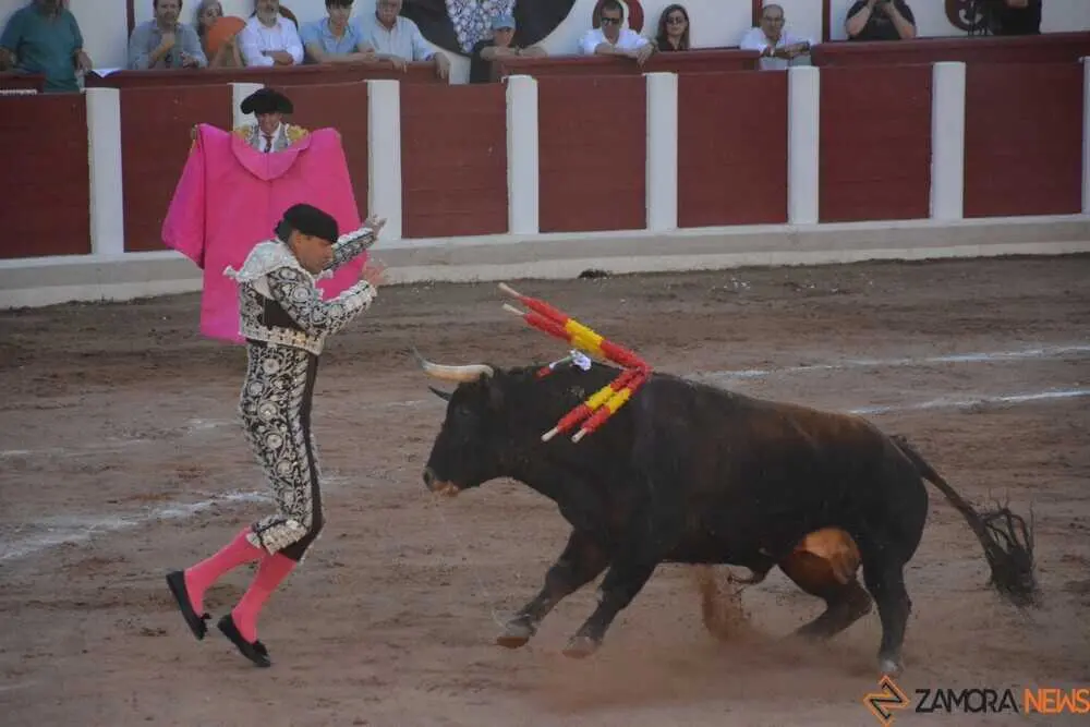 toros san pedro 2026 _55