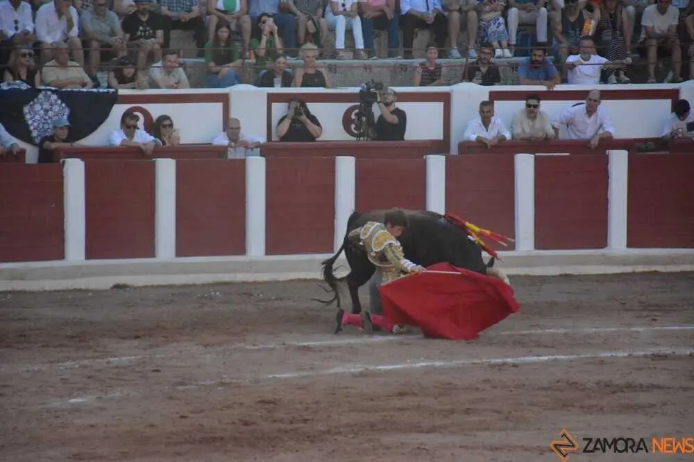 toros san pedro 2026 _63