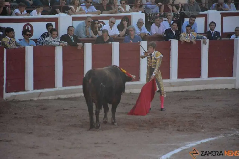 toros san pedro 2026 _64