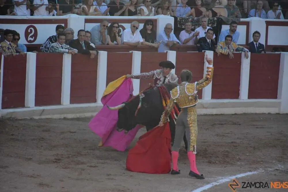 toros san pedro 2026 _71