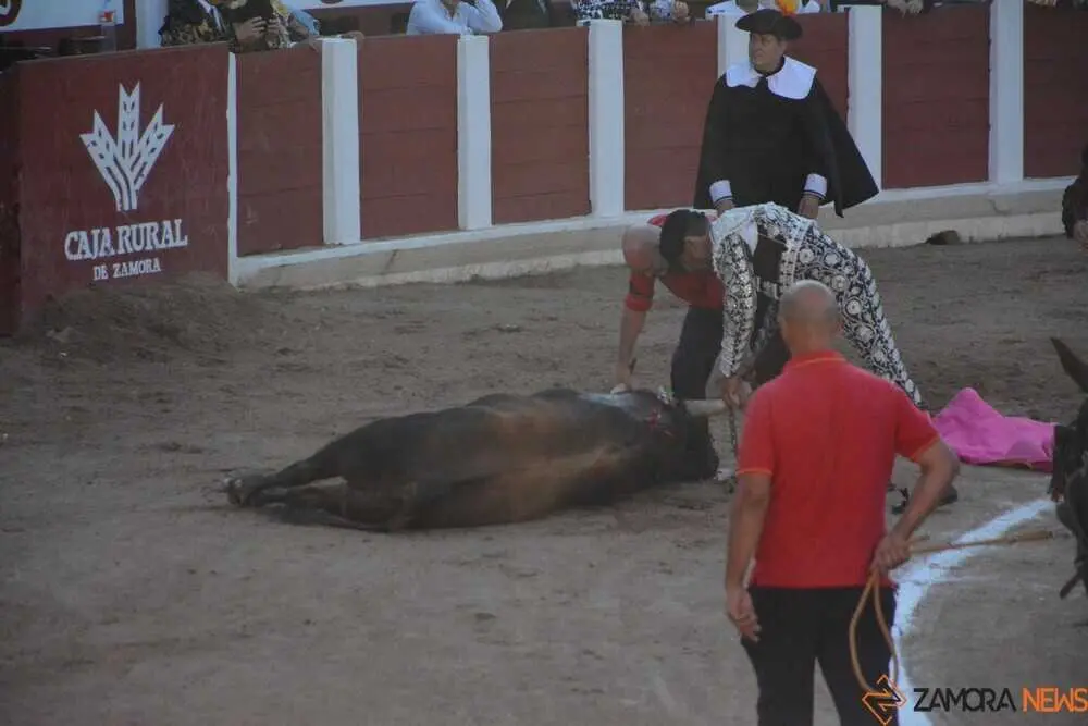 toros san pedro 2026 _75