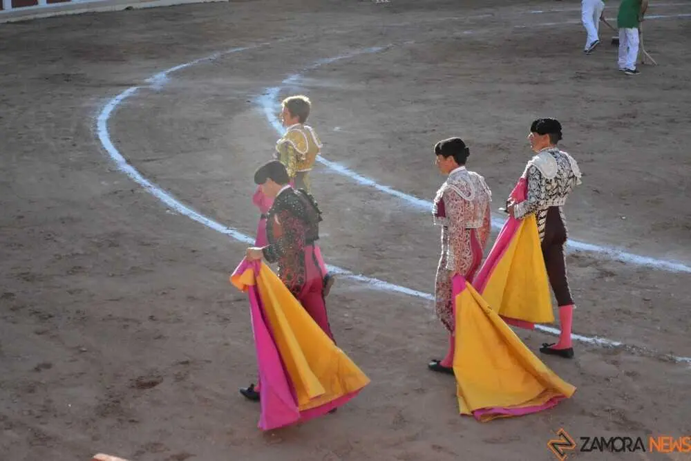 toros san pedro 2026 _83