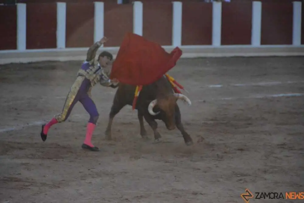 toros san pedro 2026 _95