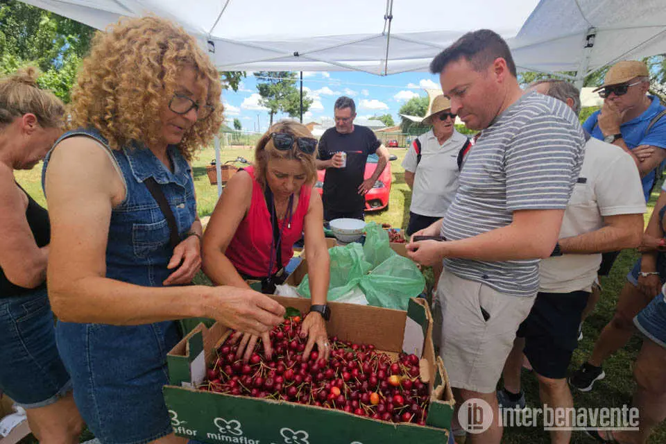 Mercado de Cerezas en Pueblica de Valverde. Foto Interbenavente