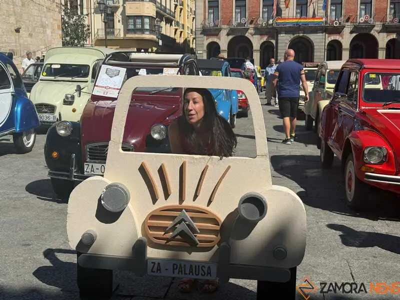 veh&iacute;culos cl&aacute;sicos_23