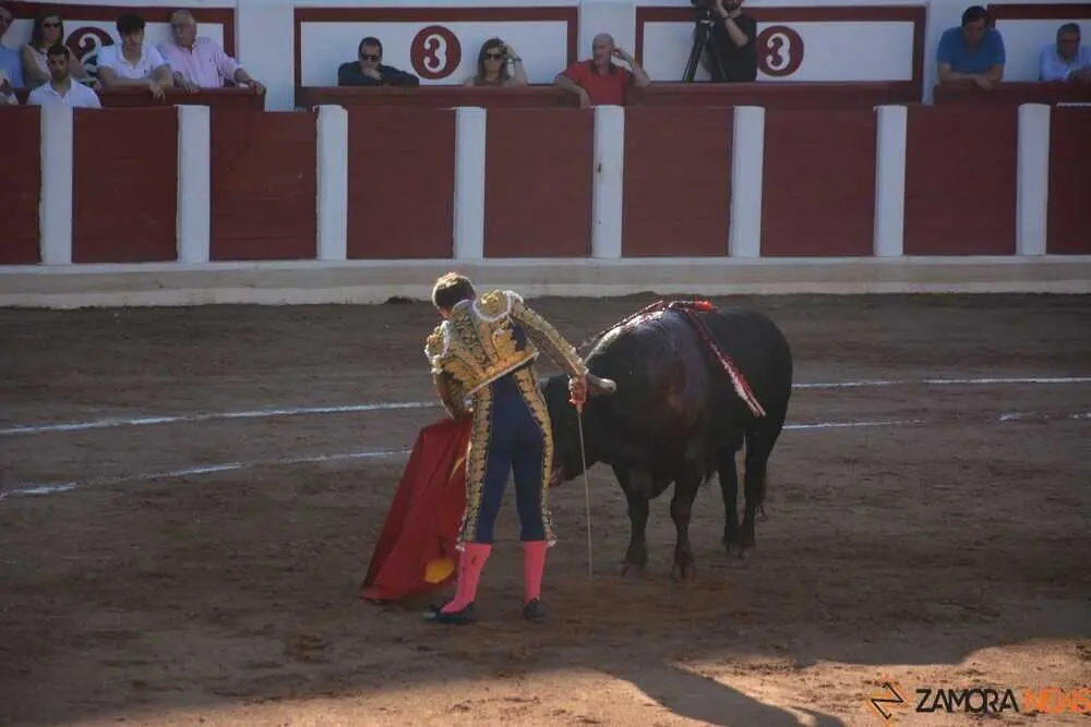 segunda de abono toros 2026 san pedro_33