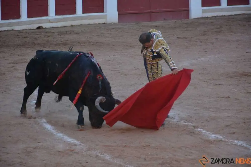 segunda de abono toros 2026 san pedro_74