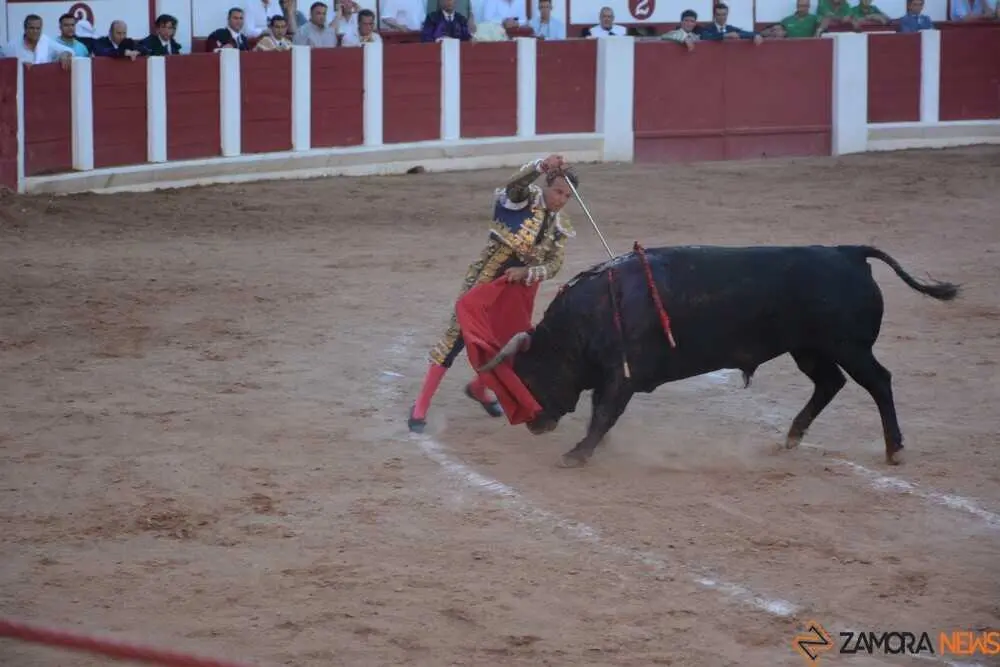 segunda de abono toros 2026 san pedro_80