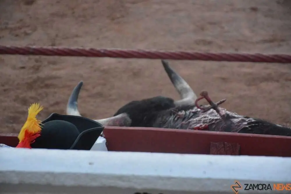 segunda de abono toros 2026 san pedro_90
