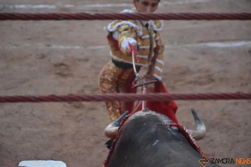 segunda de abono toros 2026 san pedro_95