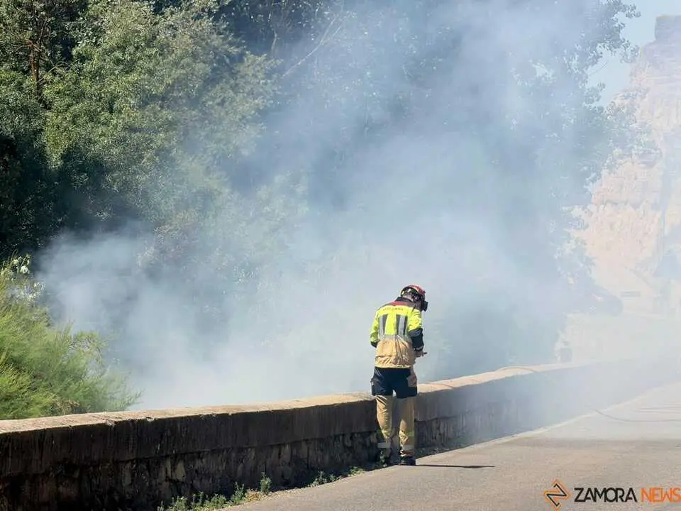 Incendio Zamora  _2