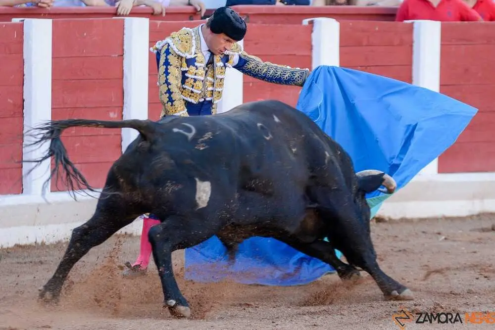 segunda san pedro joaqu&iacute;n 