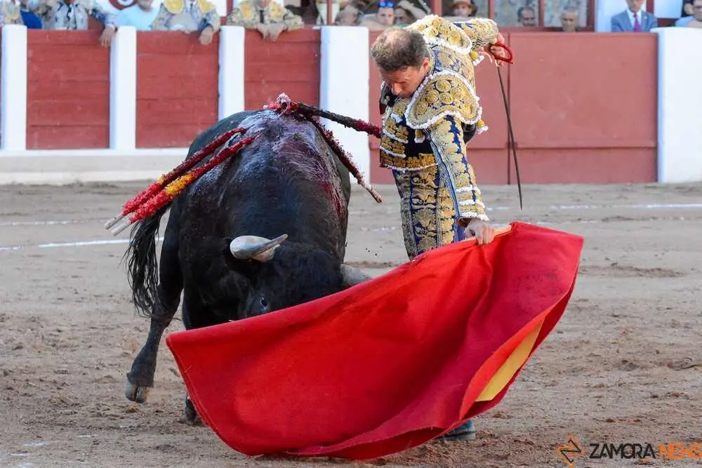 segunda san pedro joaqu&iacute;n _3