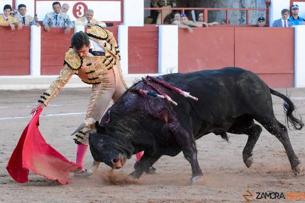 segunda san pedro joaqu&iacute;n _7