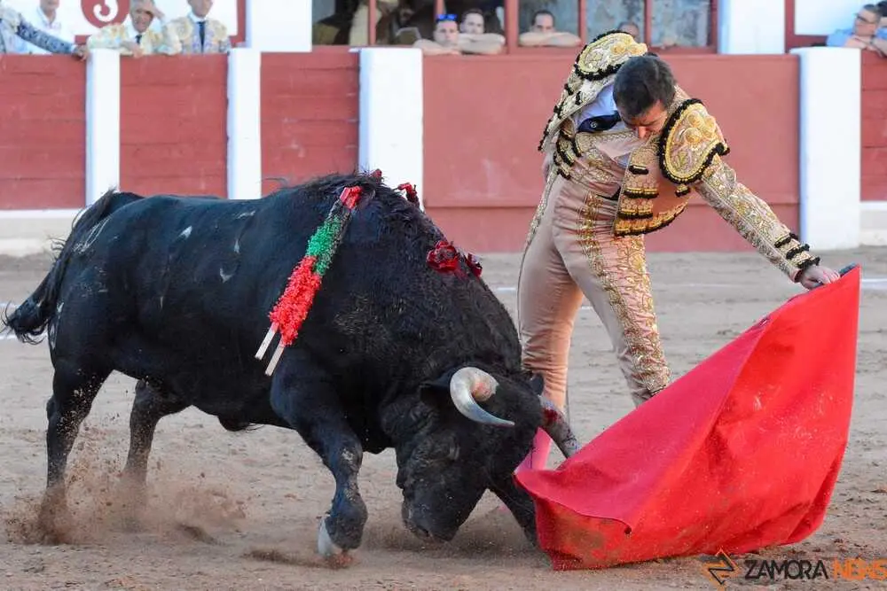 segunda san pedro joaqu&iacute;n _8