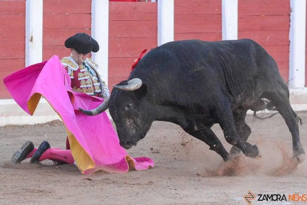 segunda san pedro joaqu&iacute;n _9