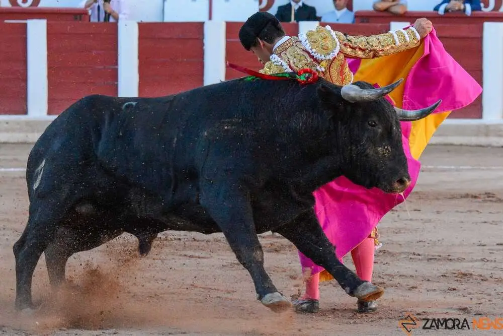 segunda san pedro joaqu&iacute;n _10