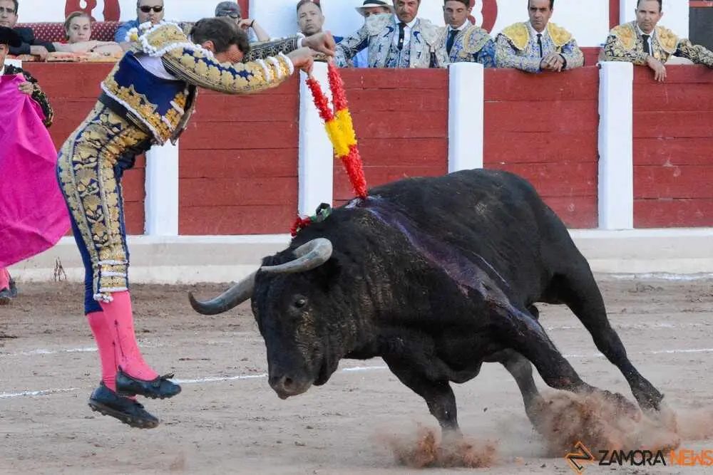 segunda san pedro joaqu&iacute;n _16