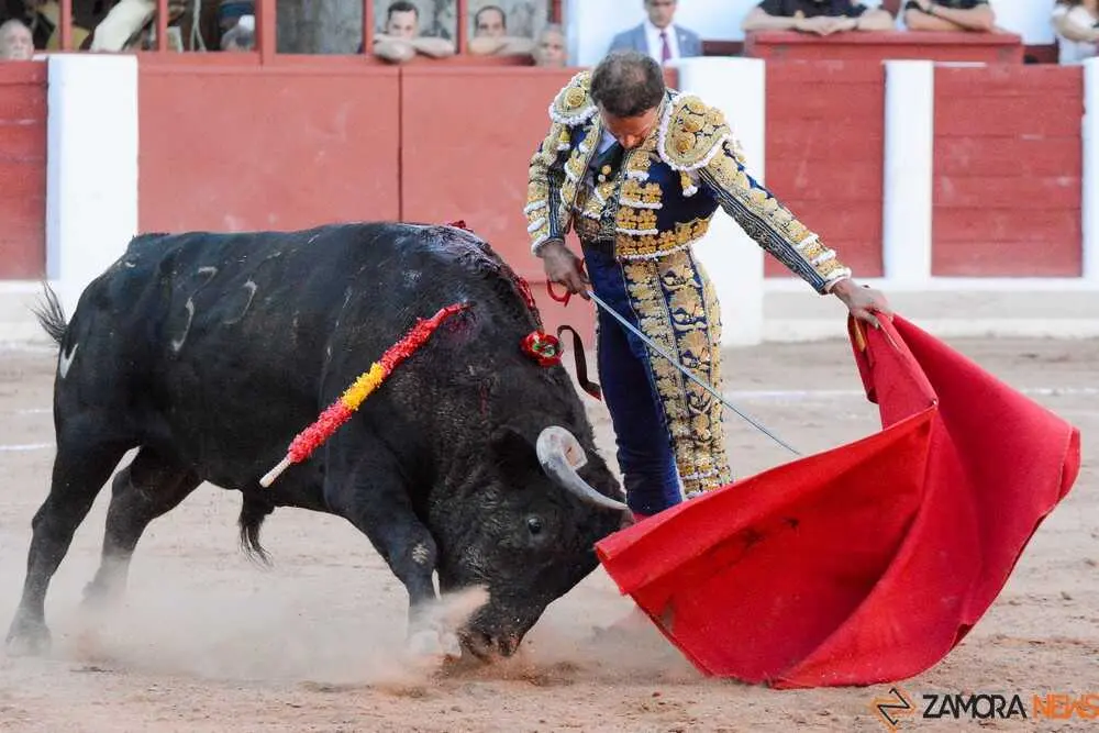segunda san pedro joaqu&iacute;n _17