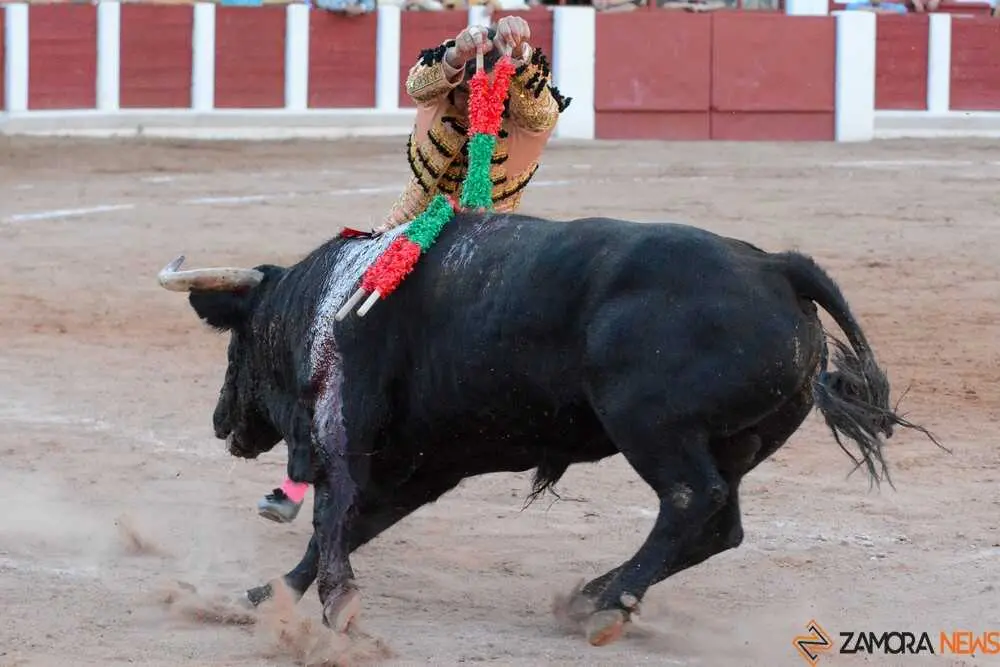 segunda san pedro joaqu&iacute;n _19
