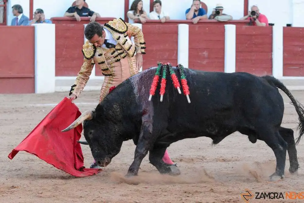 segunda san pedro joaqu&iacute;n _20