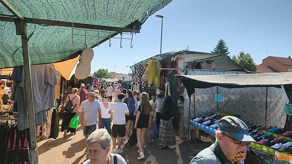 Mercadillo Zamora_2