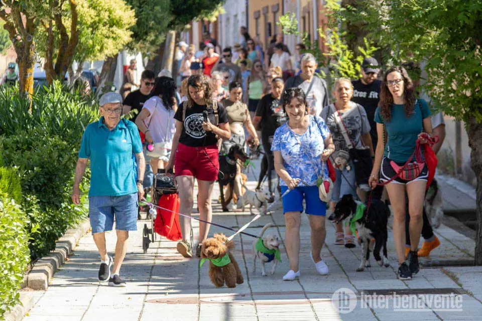 Marcha contra el abandono animal Benavente - Imagen Interbenavente