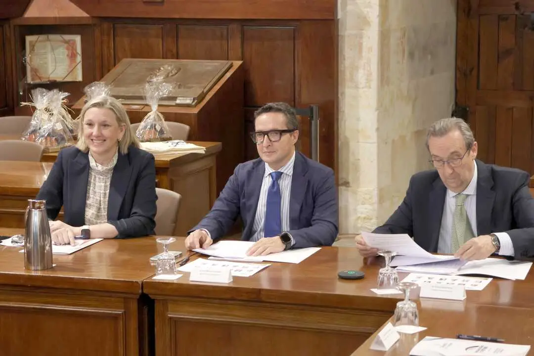 C&aacute;tedra Fundaci&oacute;n Personas, discapacidad y futuro