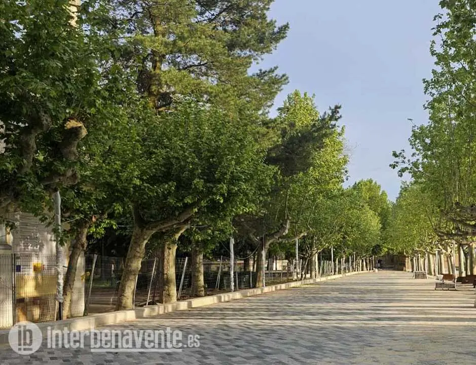 Paseos de La Mota - imgen Interbenavente