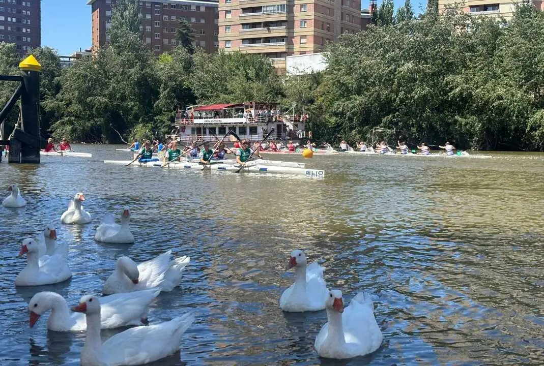   Gran Premio Internacional K4 Valladolid 