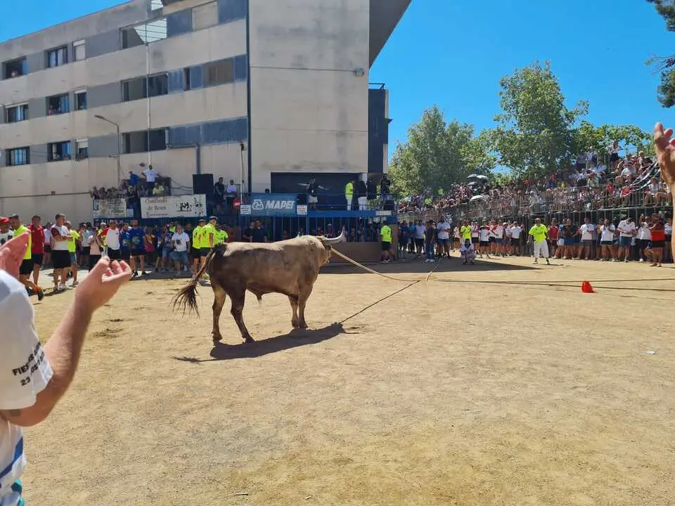XI Congreso Nacional de Toro con Cuerda- Toro Enmaromado