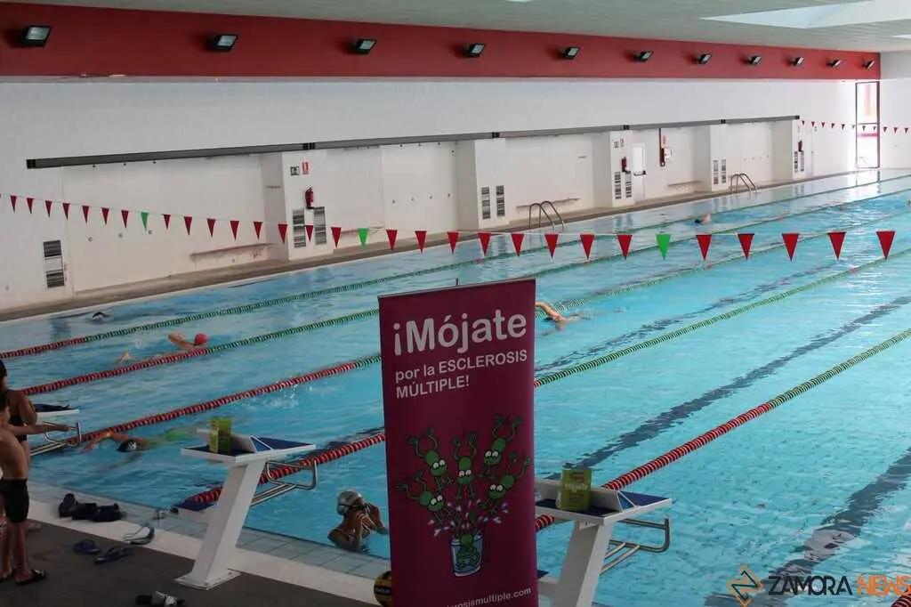 M&oacute;jate por la Esclerosis M&uacute;ltiple Zamora La Sindical _24