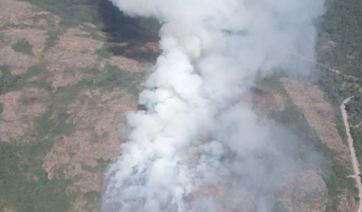 Incendio P&iacute;as