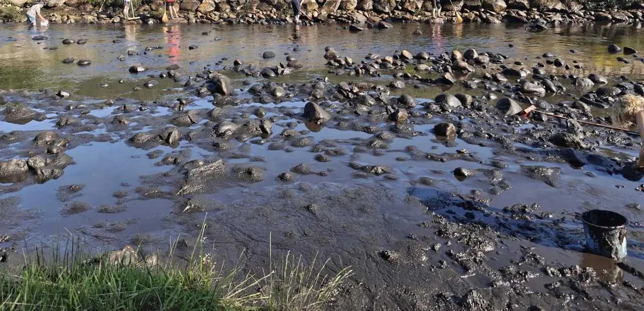 toneladas de ceniza acumuladas en la piscina fluvial de Porto de Sanabria  (3)