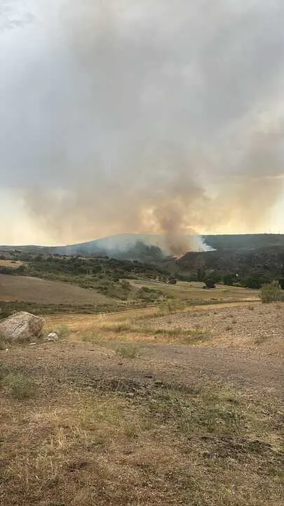 incendio Carrascal  (1)