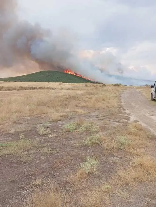 incendio Carrascal  (5)